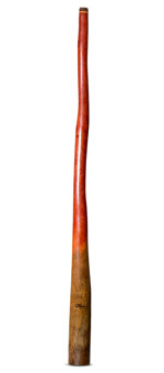 Tristan O'Meara Didgeridoo (TM459)